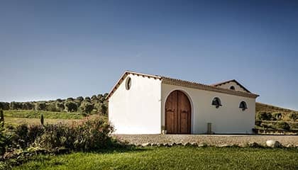 Vino Antonella Corda